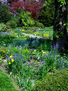 Ellwanger Garden in May